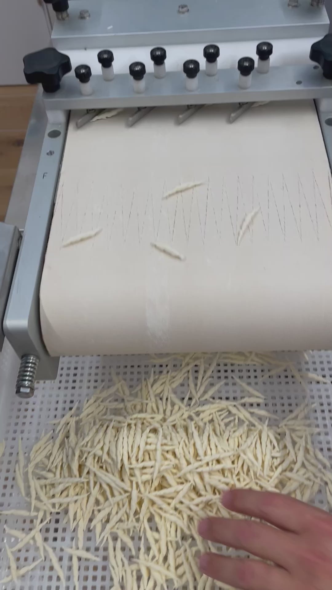 Formatrice per pasta fresca regionale in produzione trofie artigianali